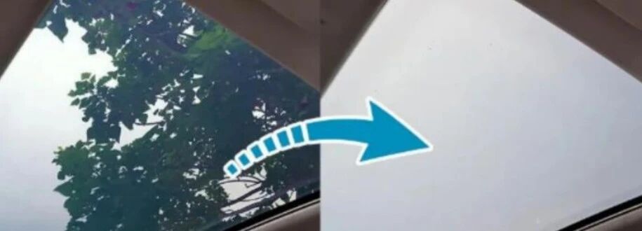 IMG_3320.JPG IMG_3320.JPG